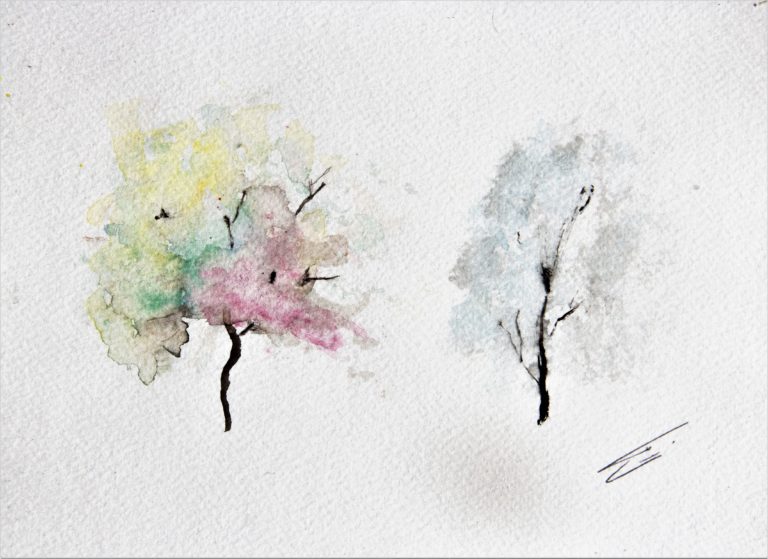 aquarelles d'arbres