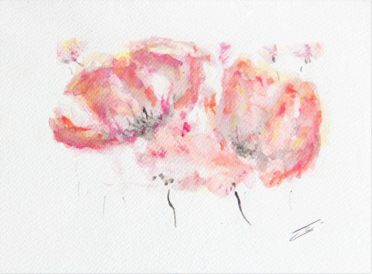 aquarelle de coquelicots